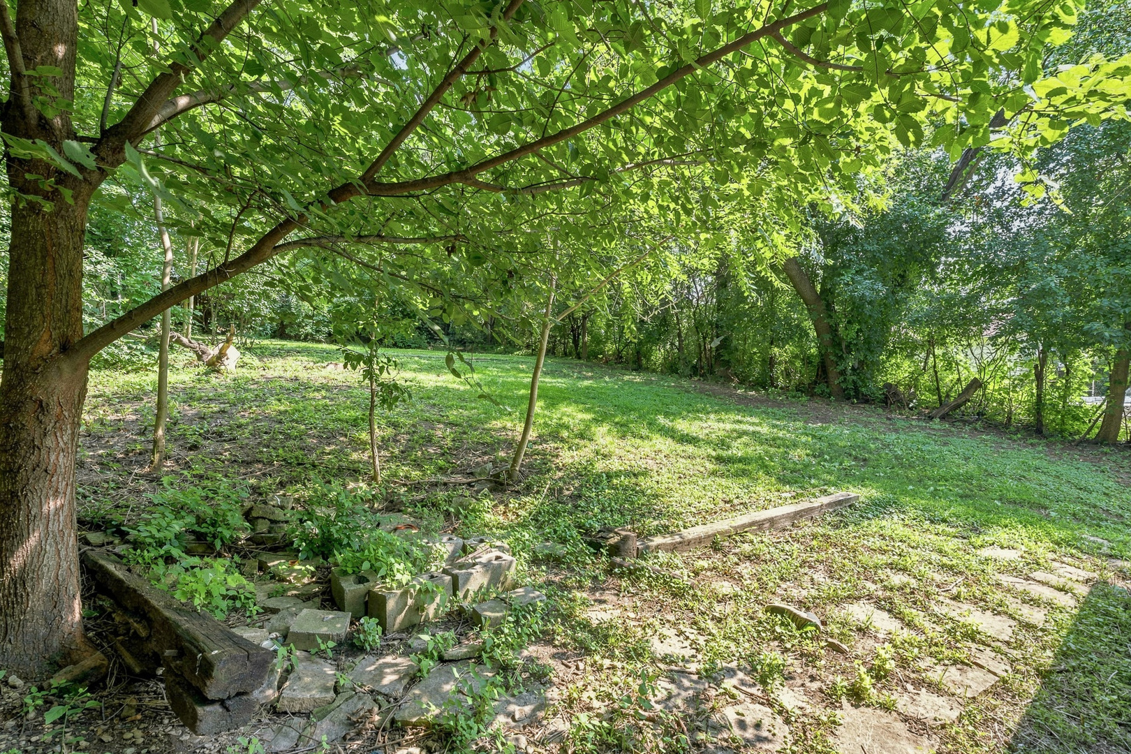 Gallery Image 28