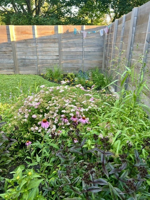 Gallery Image 31