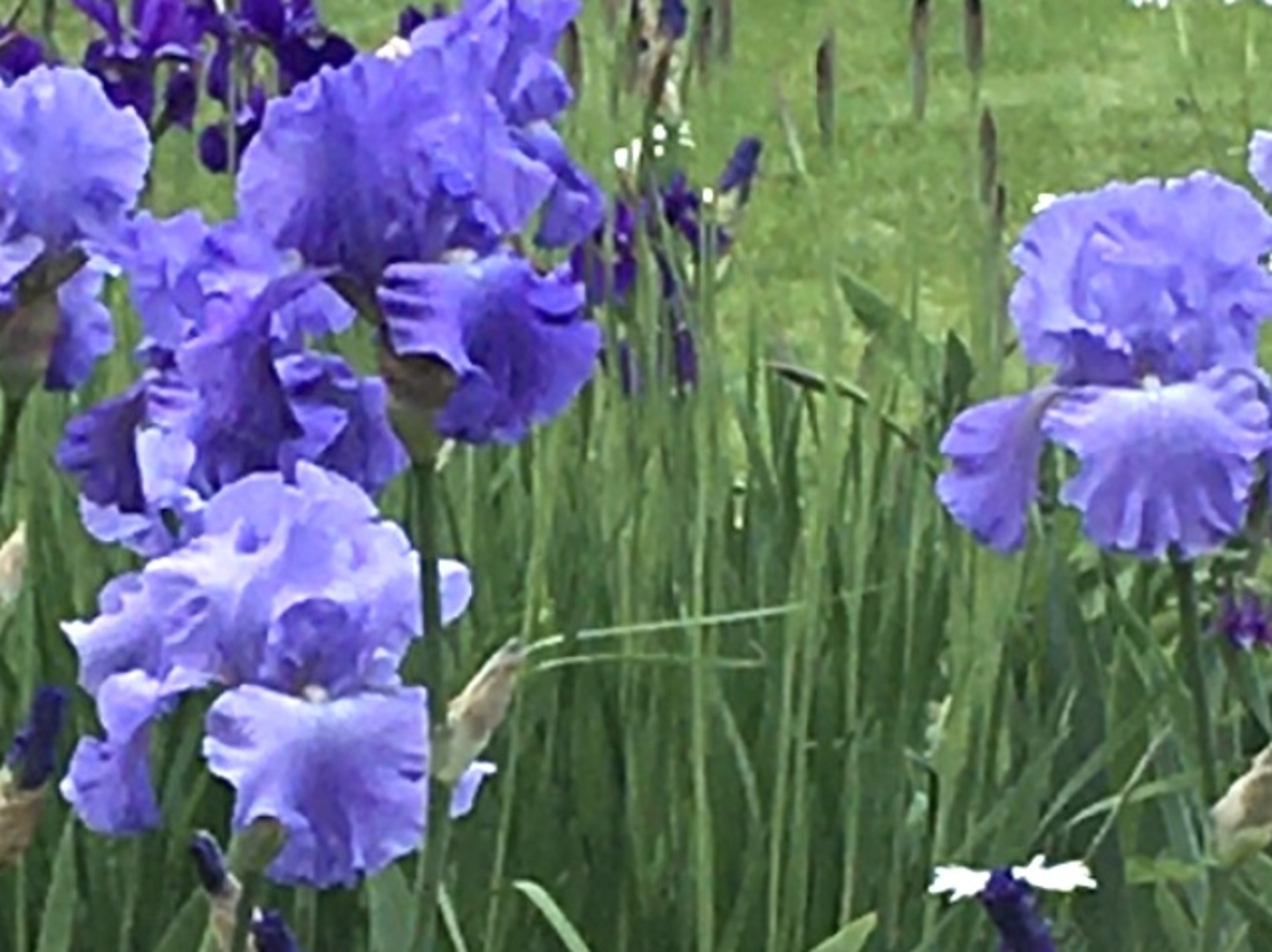 Gallery Image 24