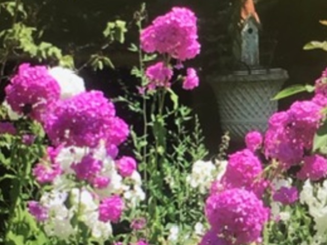 Gallery Image 23