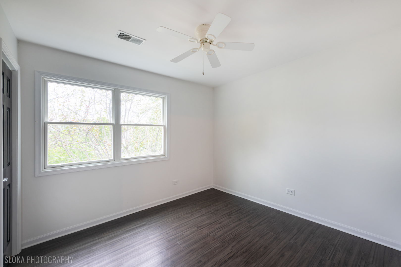 Gallery Image 19