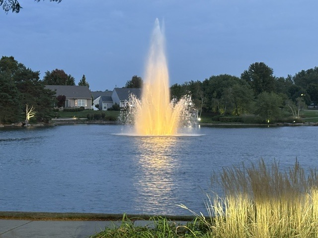 Gallery Image 26