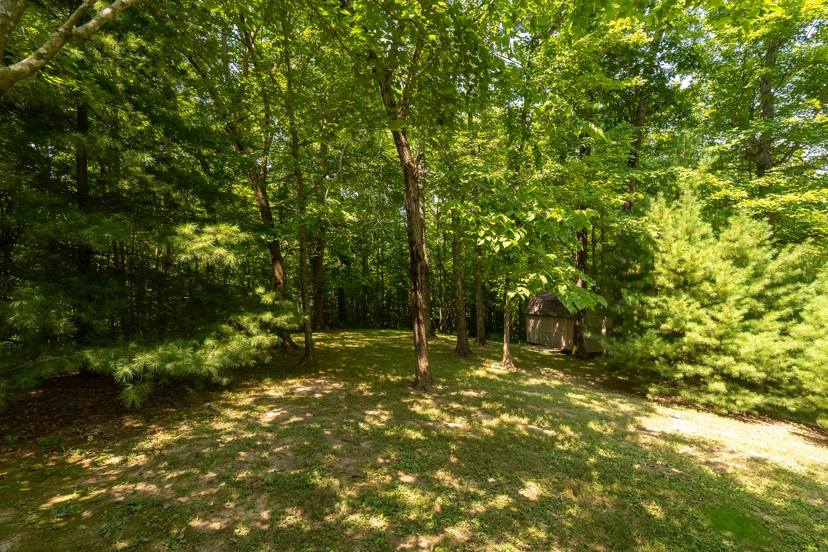 Gallery Image 36