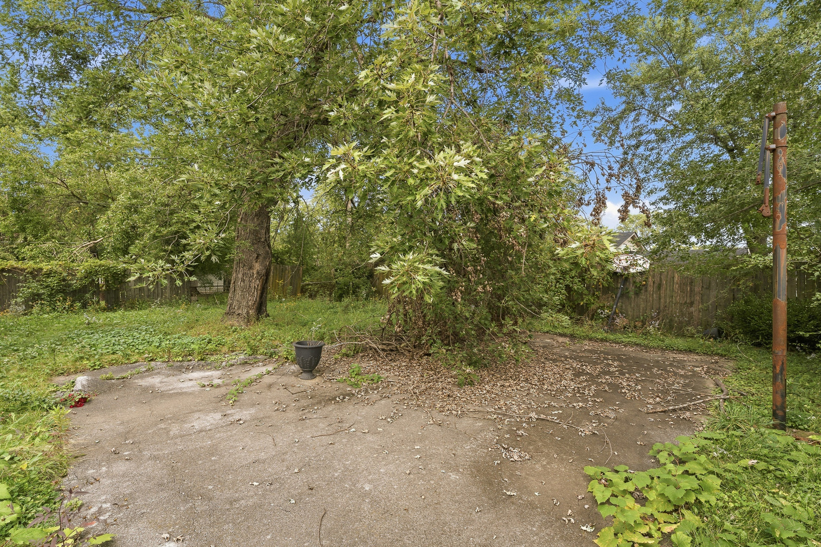 Gallery Image 29