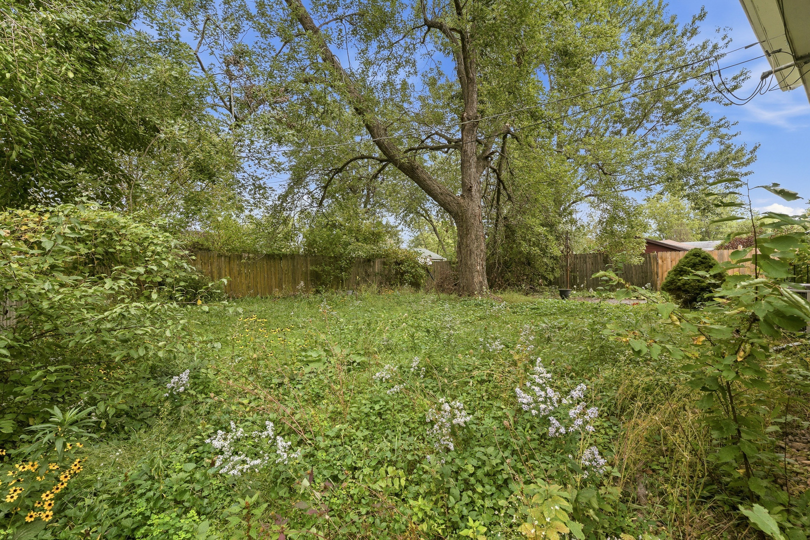 Gallery Image 30