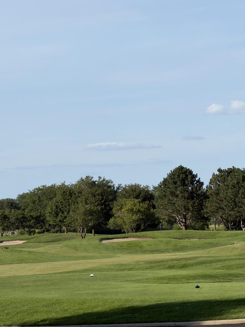 Gallery Image 25
