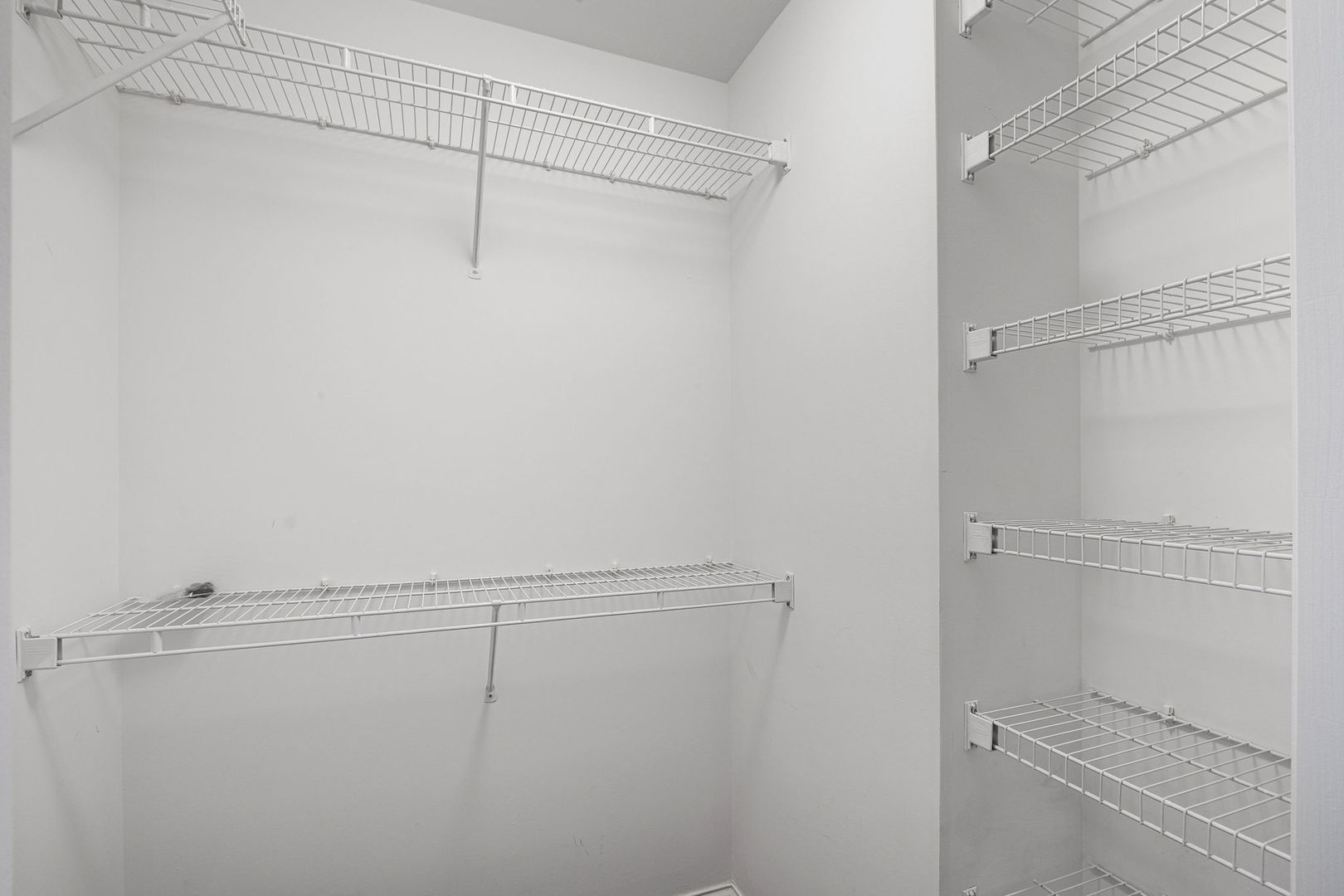 Gallery Image 19