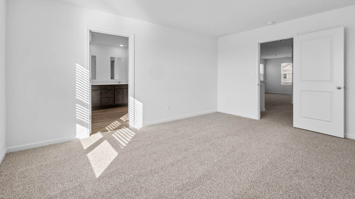 Gallery Image 20