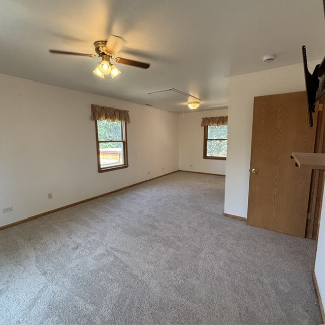 Gallery Image 19