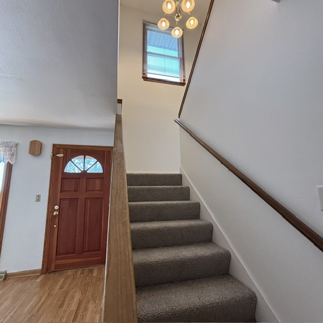 Gallery Image 16