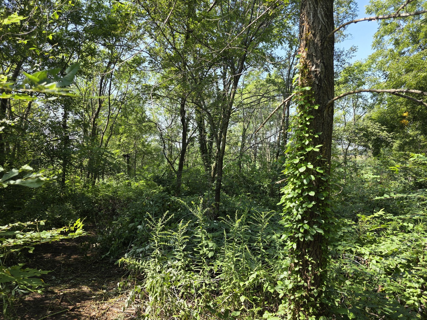 Gallery Image 19