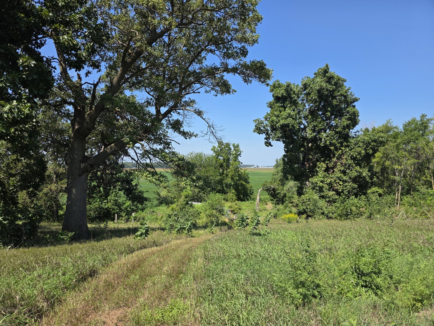 Gallery Image 16