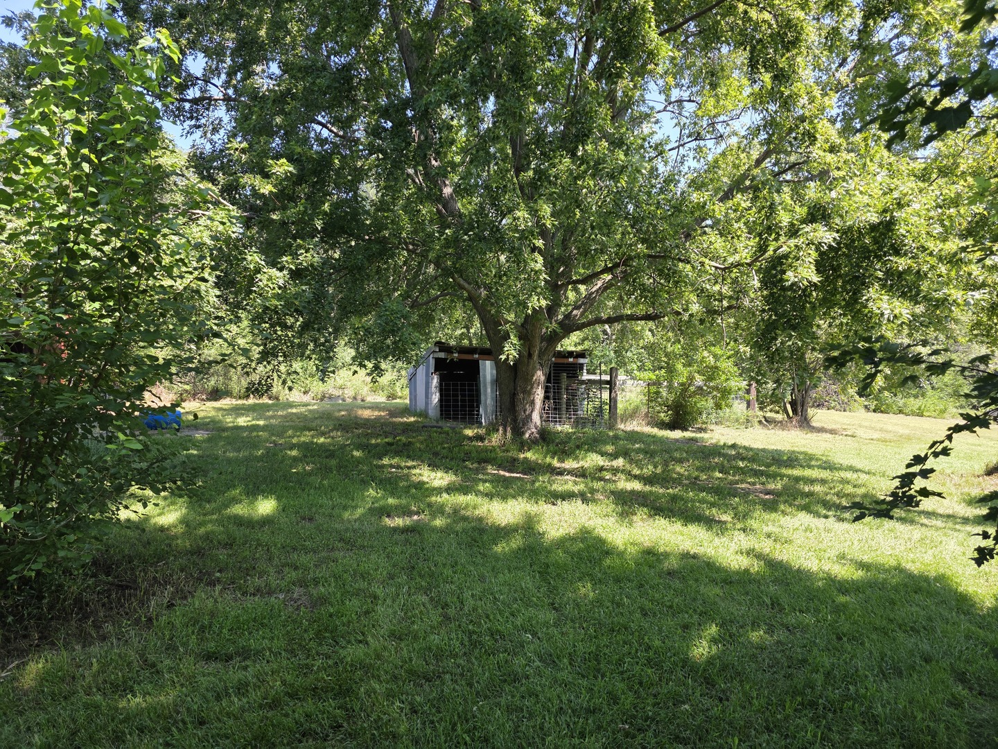 Gallery Image 15