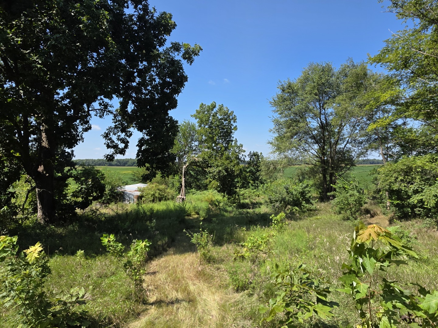 Gallery Image 18