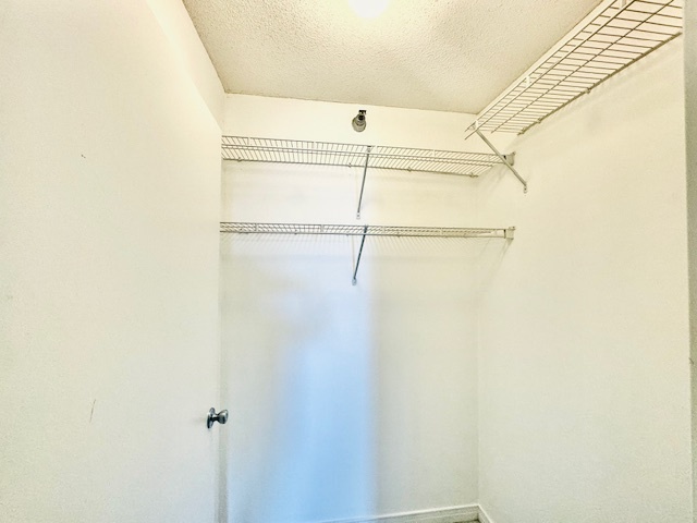 Gallery Image 25