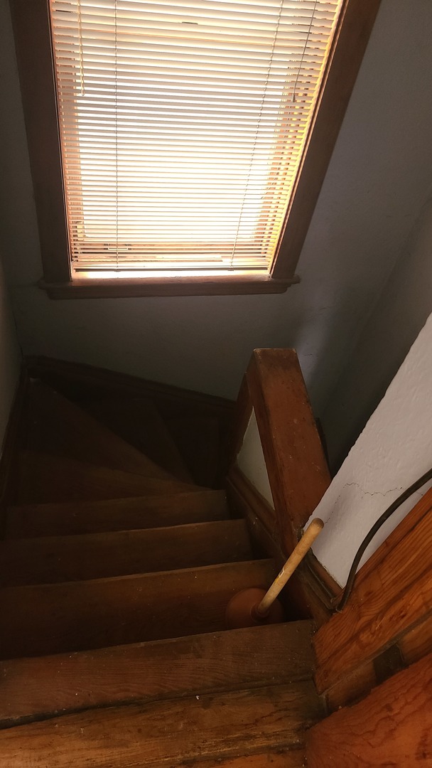 Gallery Image 38