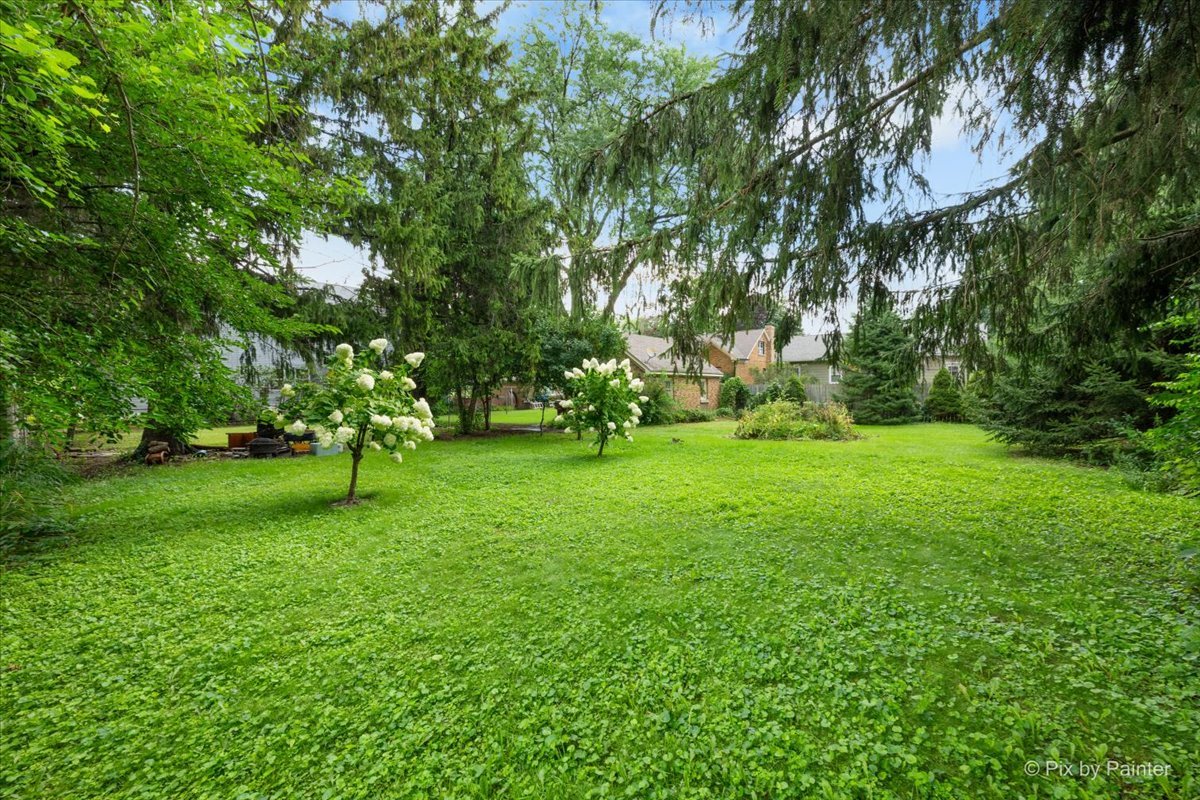 Gallery Image 33