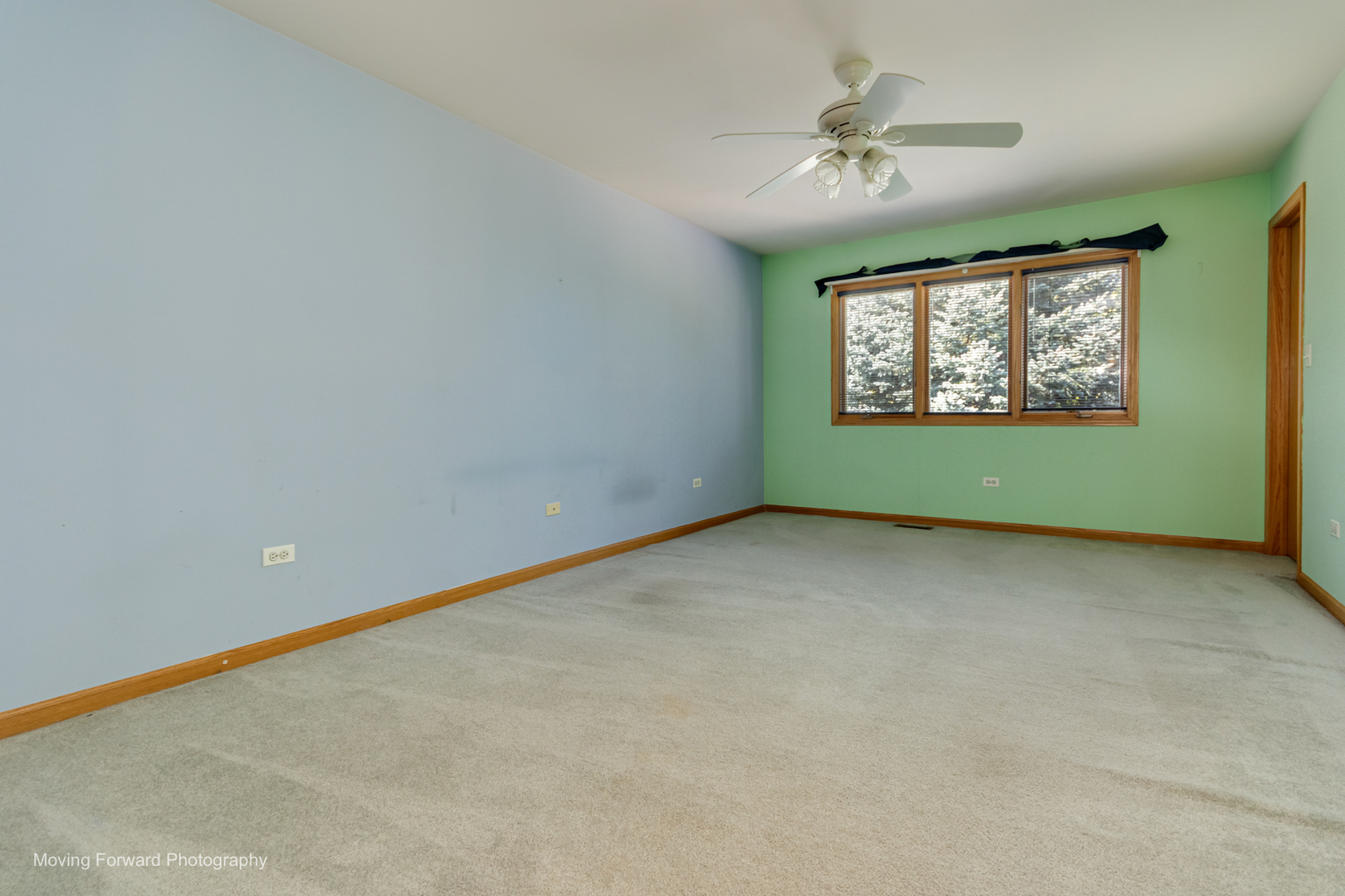Gallery Image 17