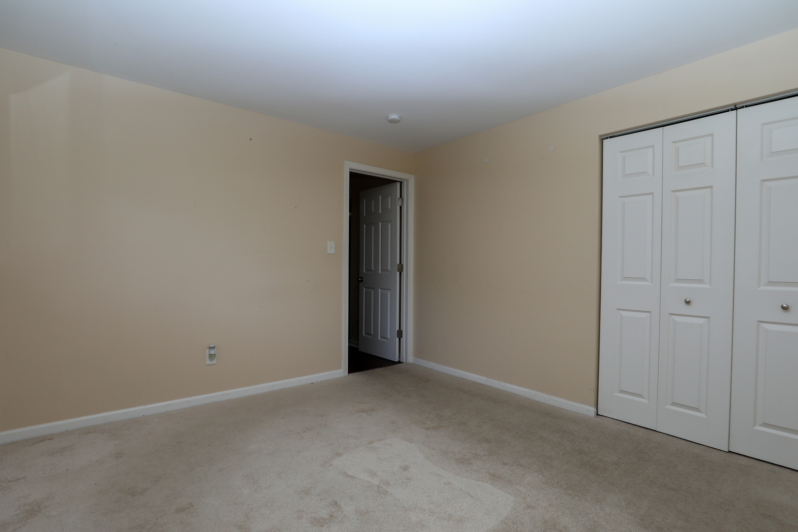 Gallery Image 16