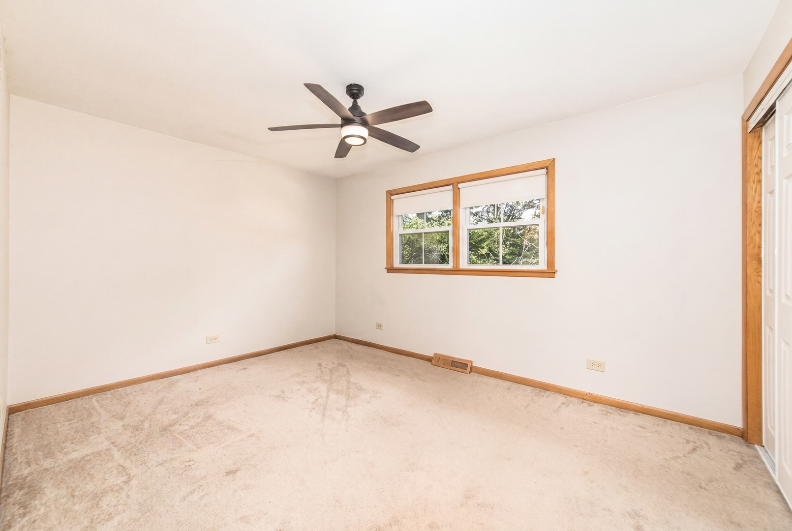Gallery Image 16
