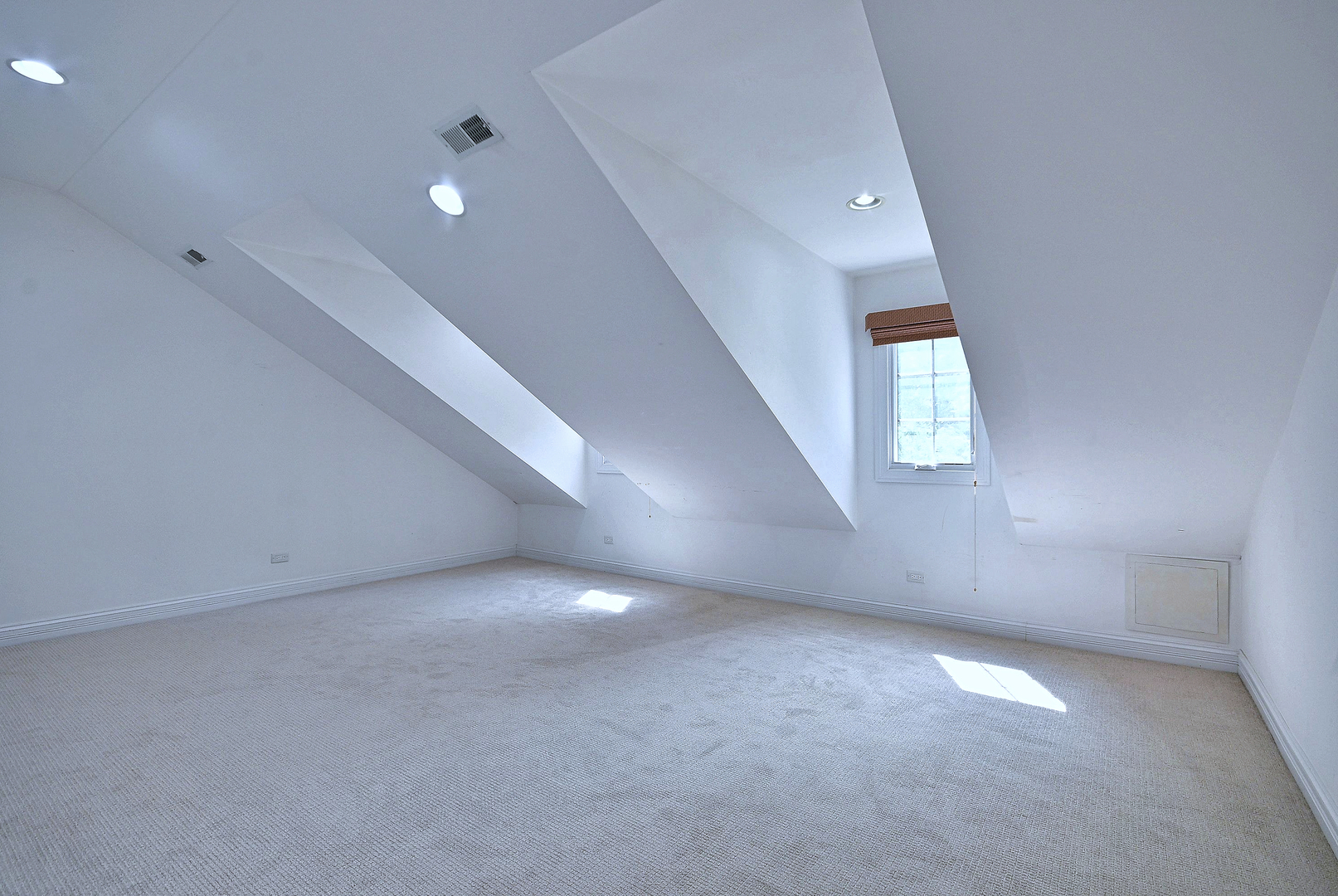 Gallery Image 50