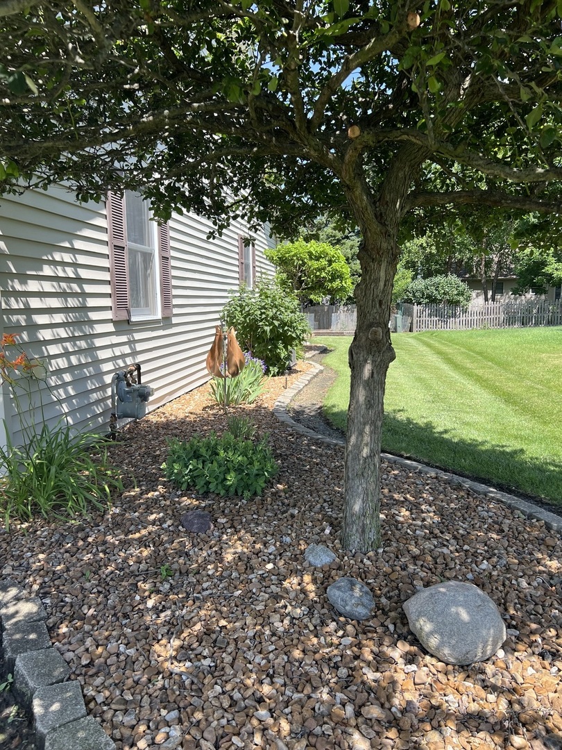 Gallery Image 58