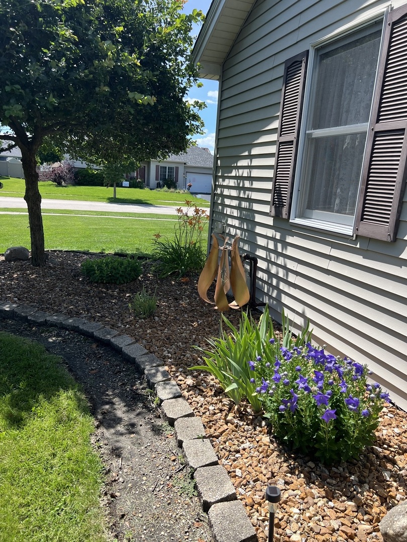 Gallery Image 55
