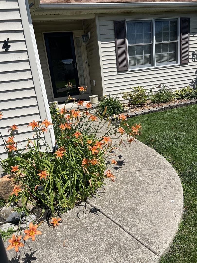 Gallery Image 54