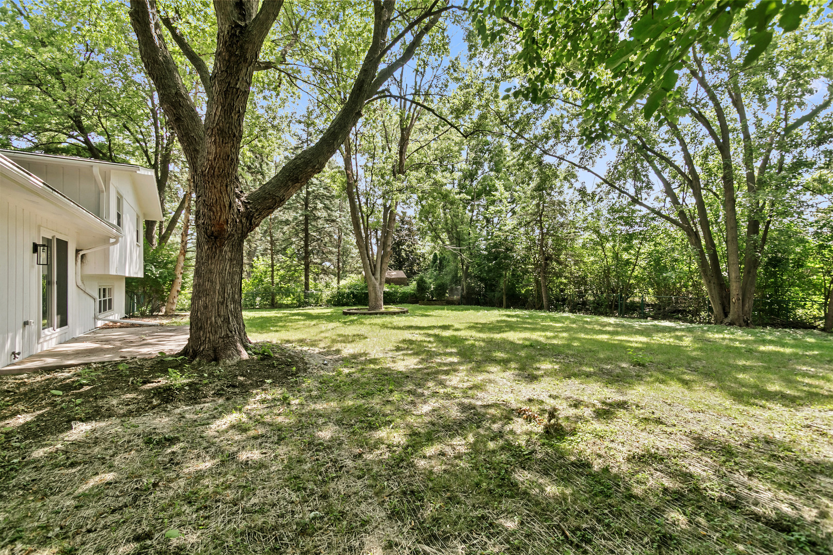 Gallery Image 17