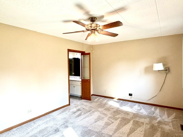 Gallery Image 21