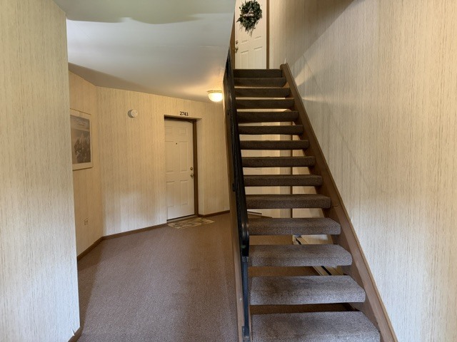Gallery Image 41