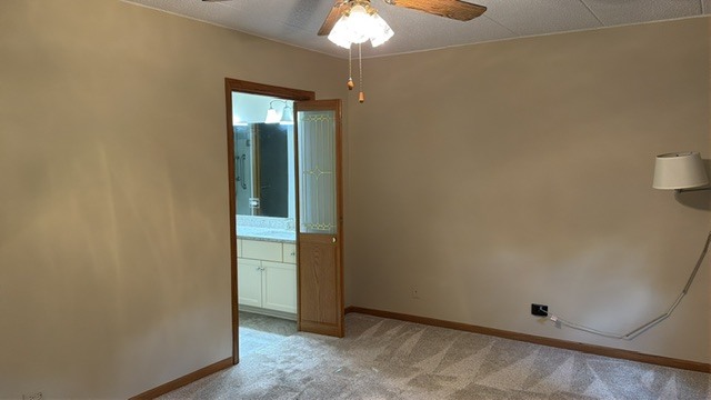 Gallery Image 53