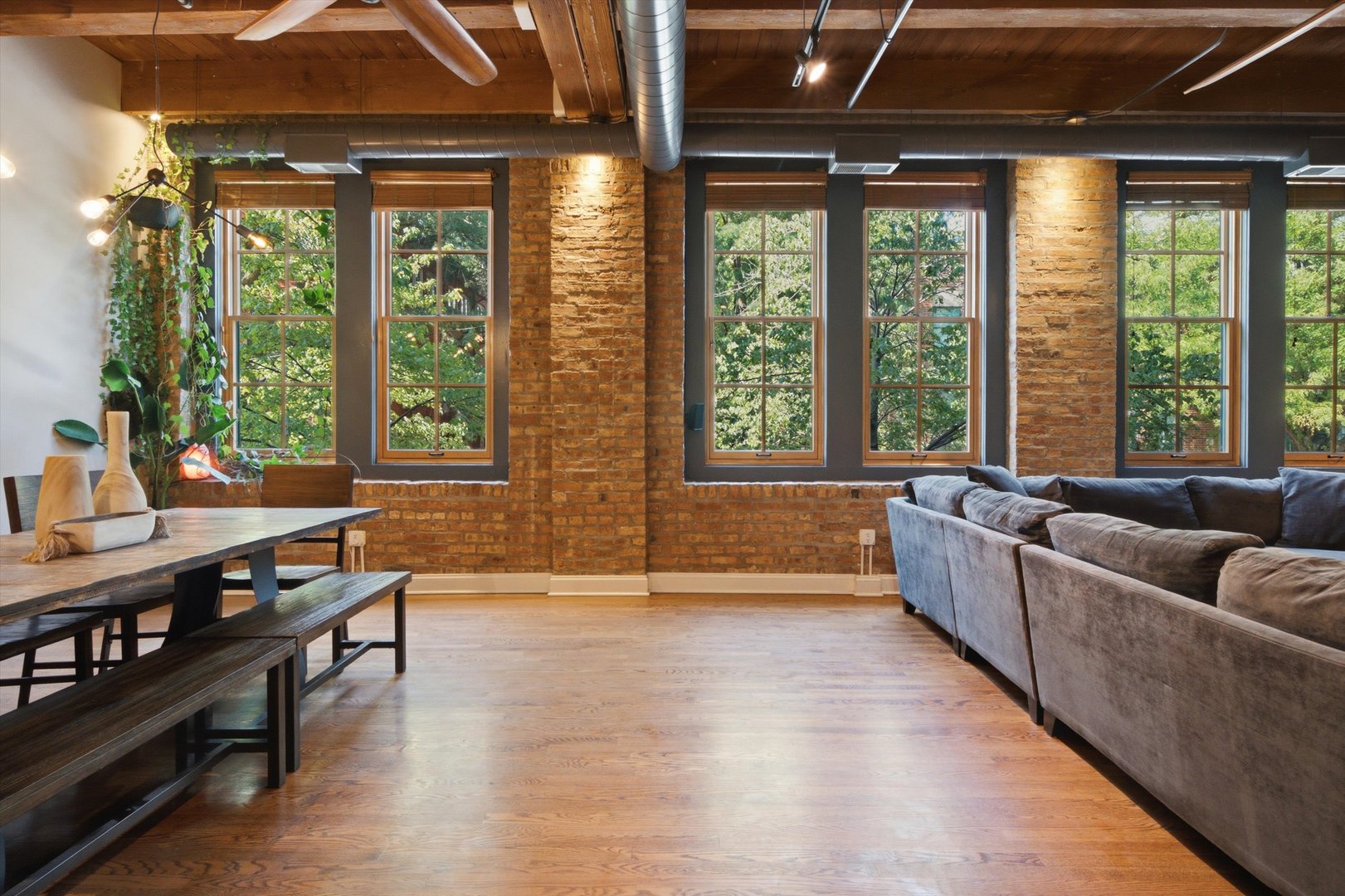 Gallery Image 14