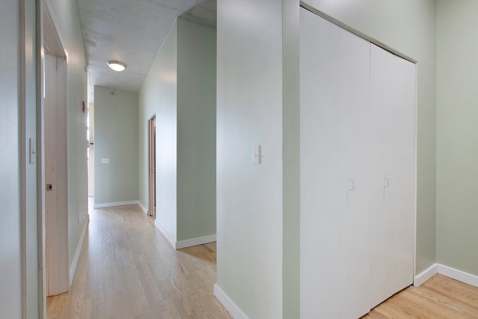 Gallery Image 17