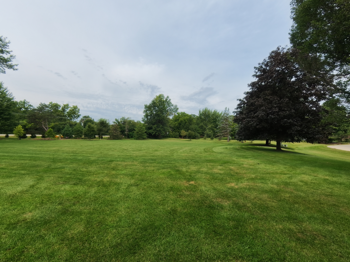 Gallery Image 57
