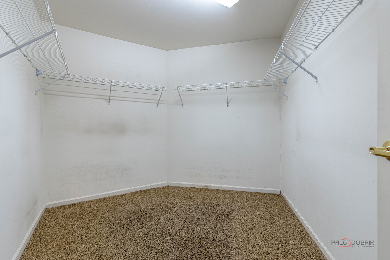 Gallery Image 20