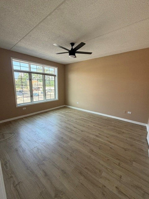 Gallery Image 16