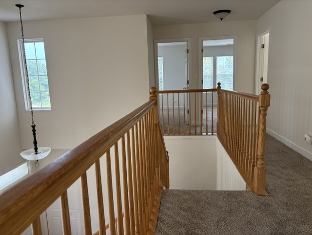 Gallery Image 13