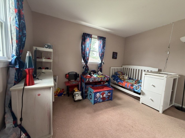 Gallery Image 18