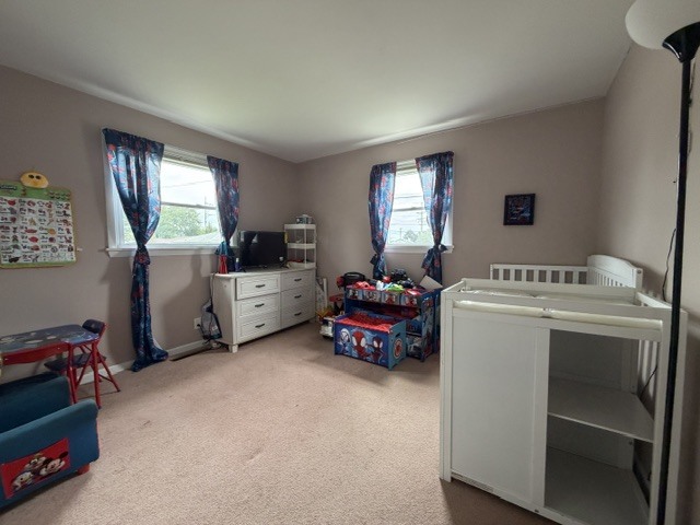 Gallery Image 16