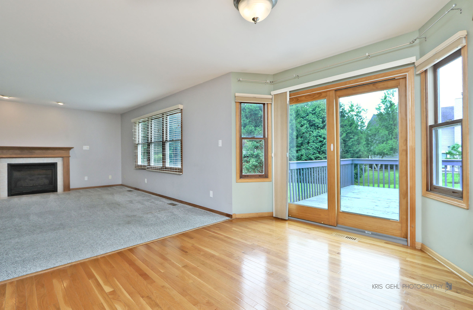 Gallery Image 7