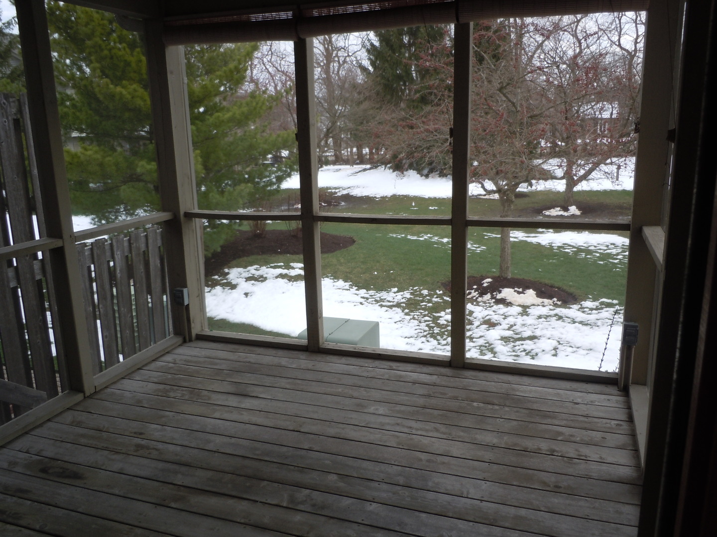 Gallery Image 11