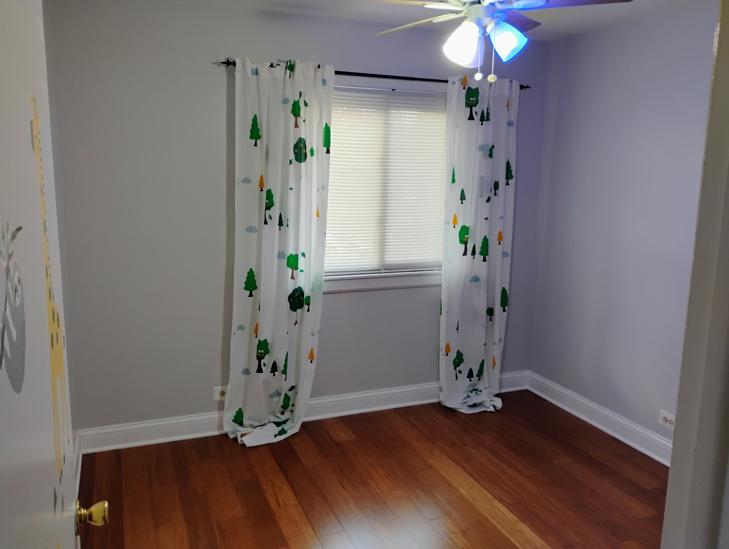 Gallery Image 8