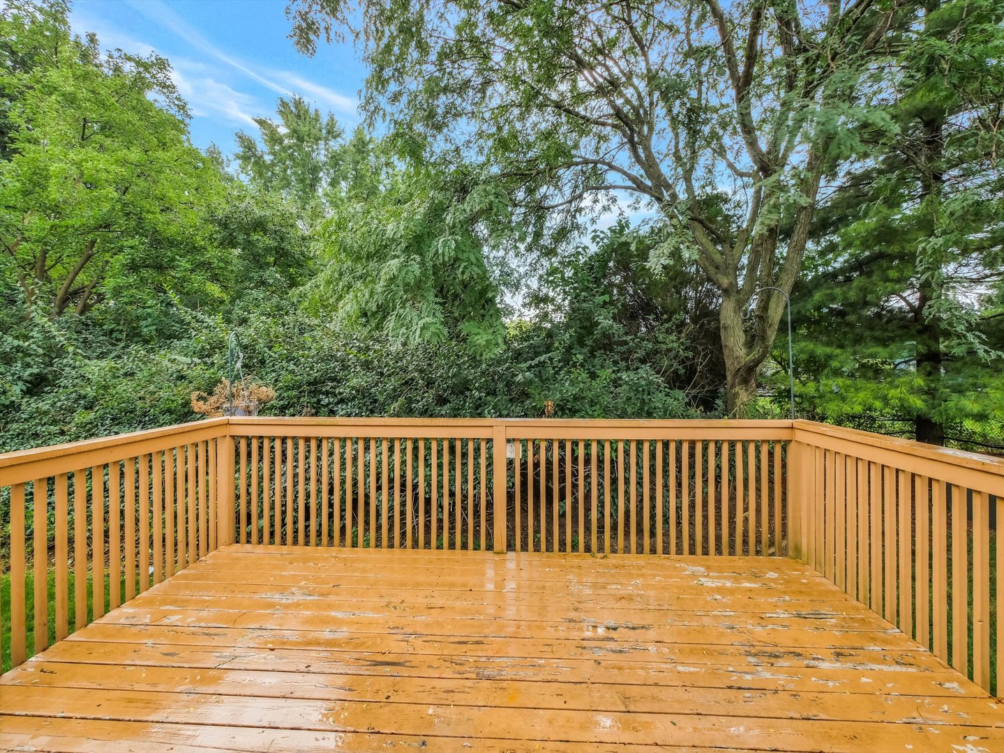 Gallery Image 30