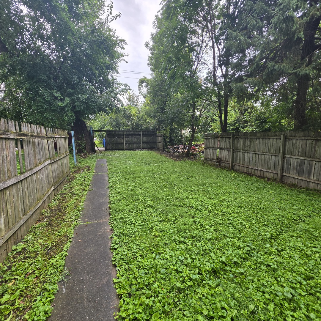 Gallery Image 11