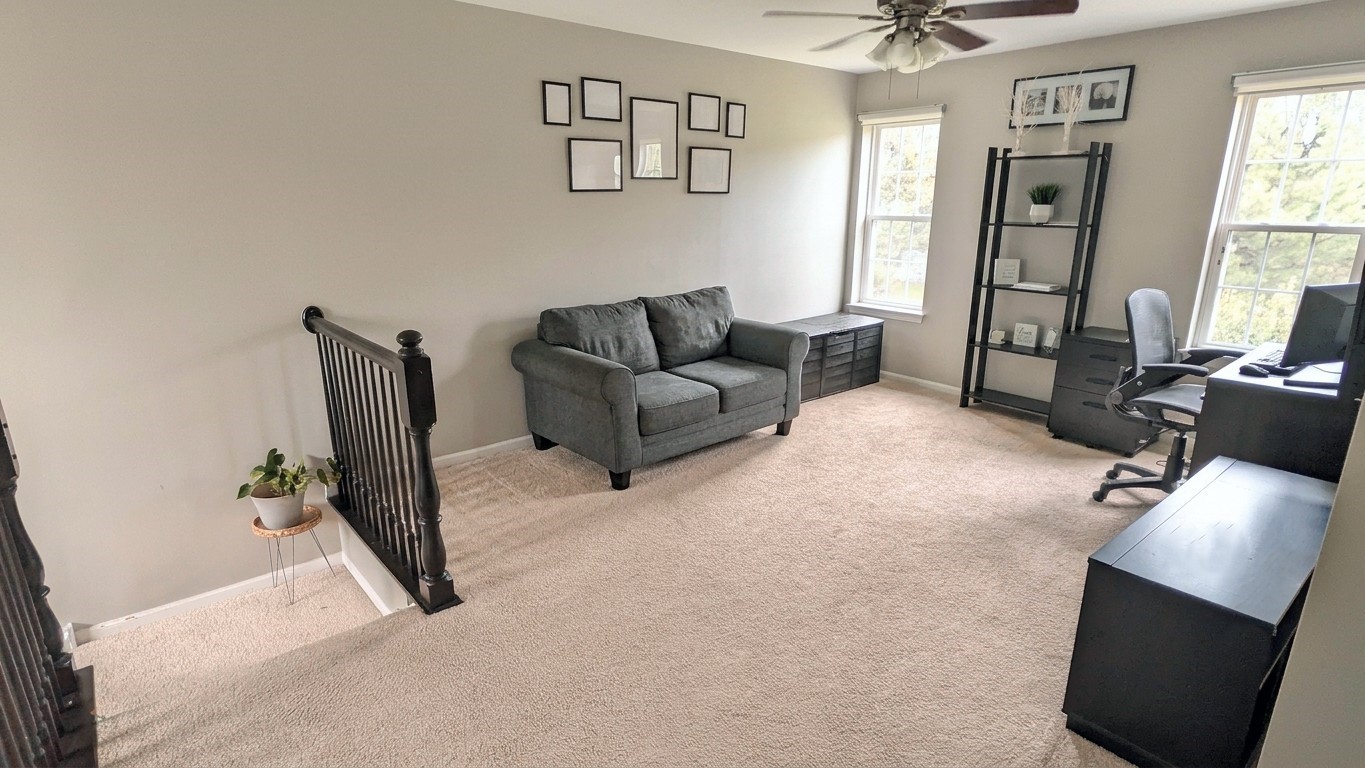 Gallery Image 11