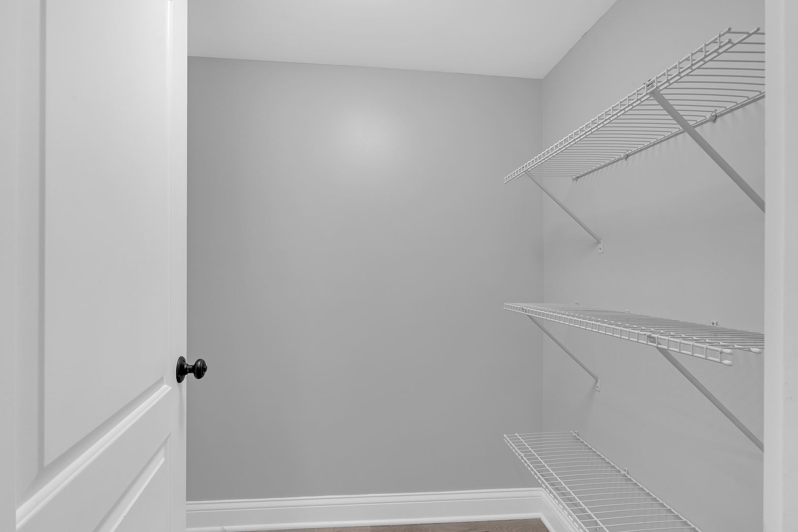 Gallery Image 16