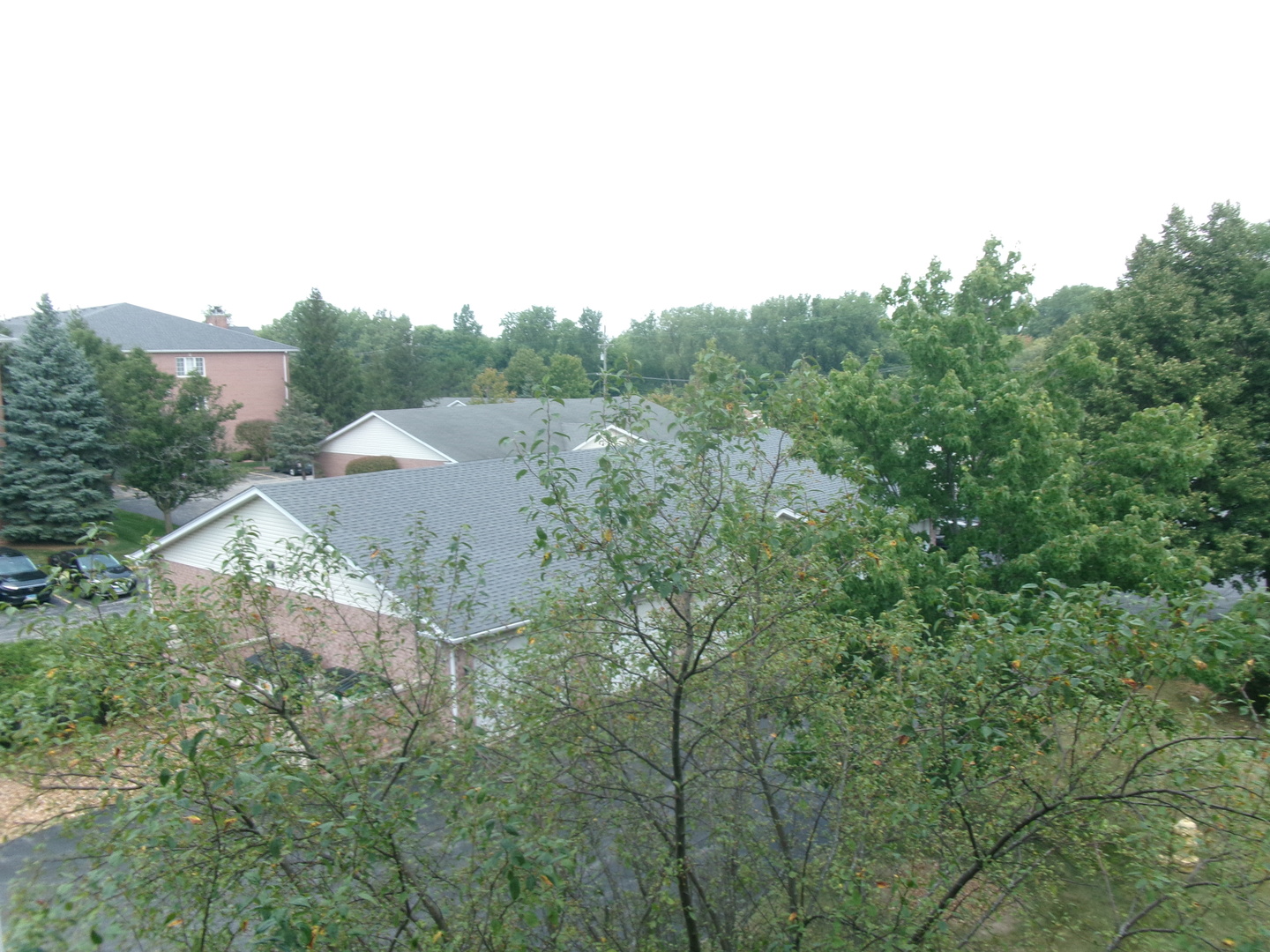 Gallery Image 17