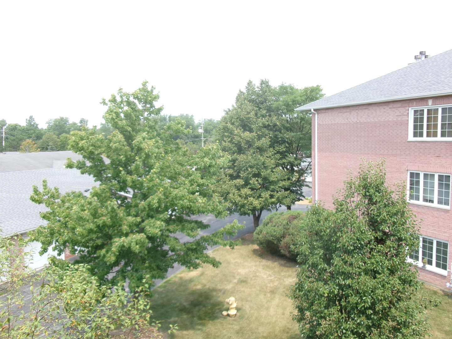 Gallery Image 21