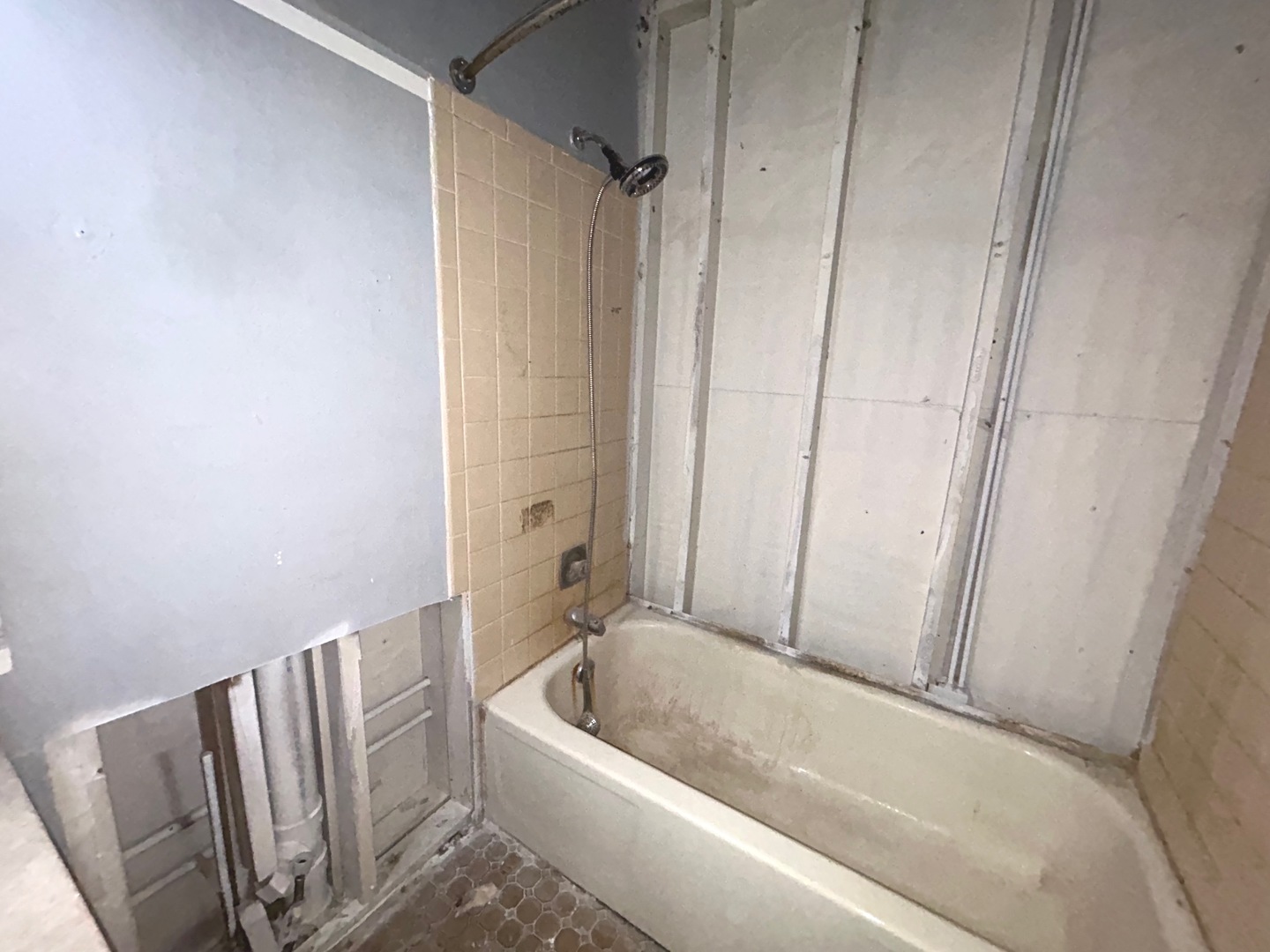 Gallery Image 17